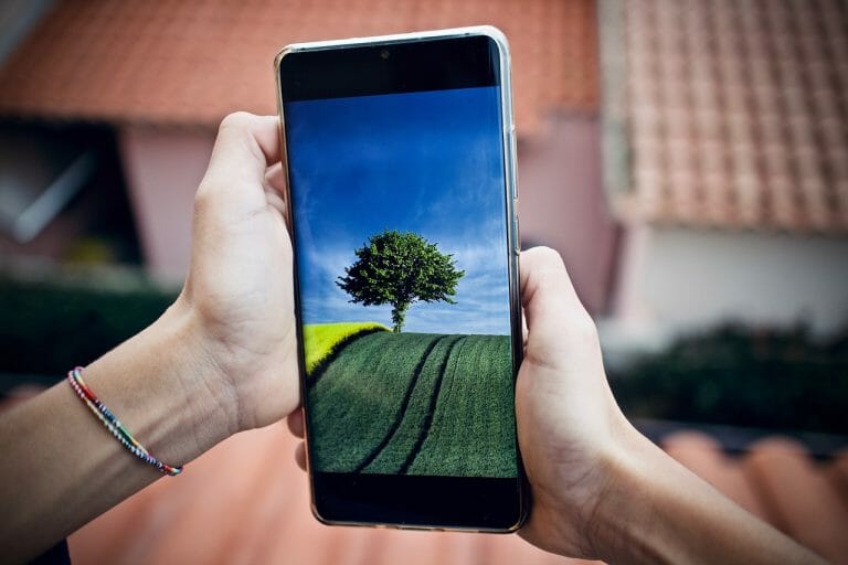 An image portraying a split tree - one side flourishing, symbolizing the advantages (efficiency, accessibility), the other side withered, representing the disadvantages of phone trees