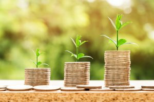 A stack of coins growing a plant, symbolizing lead generation strategies as the key to business growth.